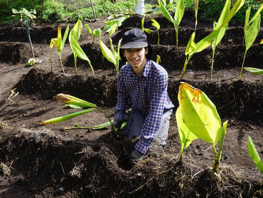 Sebastian bei der Farmarbeit