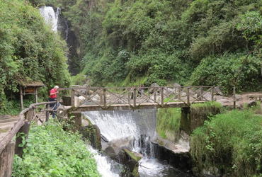 Der Regenwald Ecuadors ist sehr dicht und führt zahlreiche Flüsse und Bäche