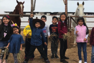 Auch Kindern, die einfach einmal eine andere Erfahrung machen wollen, wie einen Geburtstag auf dem Pferdehof, konnten wir ein einmaliges Erlebnis bieten. 