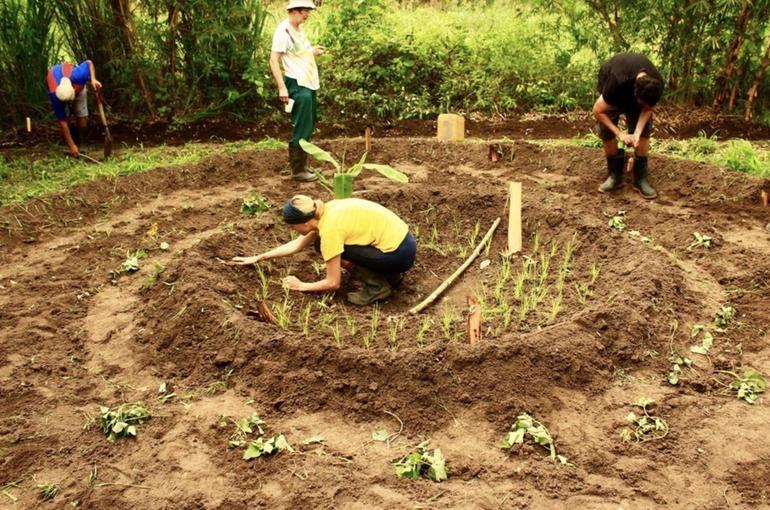 Was macht die Ökofarm in Manabí aus?