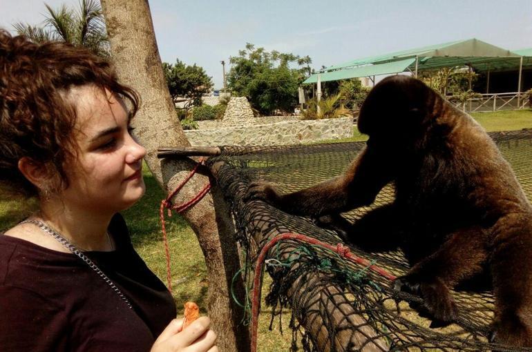 Affe Zoo Trujillo