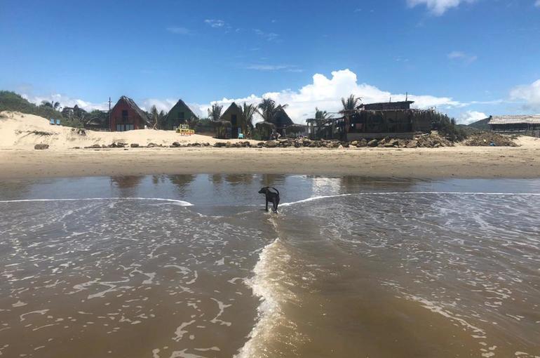 Mancora