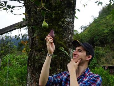 Sebastian bei der Farmarbeit in Ecuador