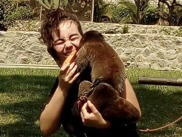 Affe Zoo Trujillo