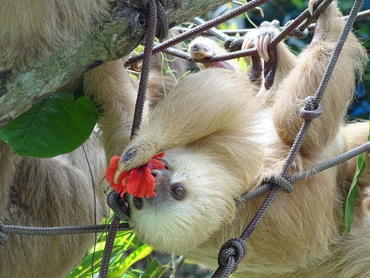 Tierstation Costa Rica