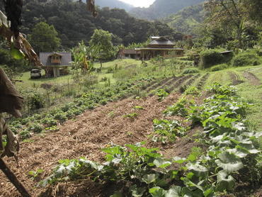Nachhaltige Farmarbeit in Ecuador